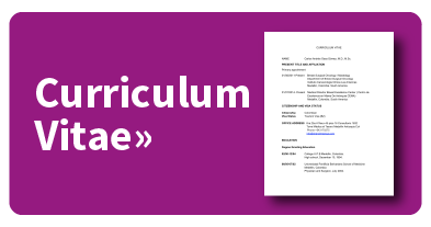 Curriculum Vitae Andres
